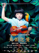 幻城攻略：从新手到高手的必经之路